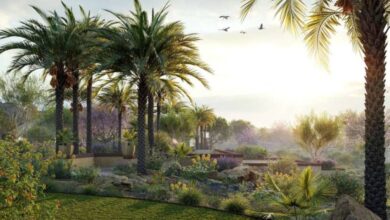 Globe Plants - Bundle 45 - Italian Plants